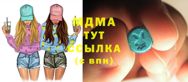 хмурый Гусь-Хрустальный