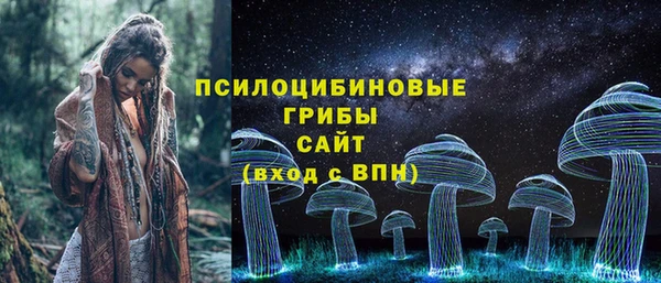 хмурый Гусь-Хрустальный