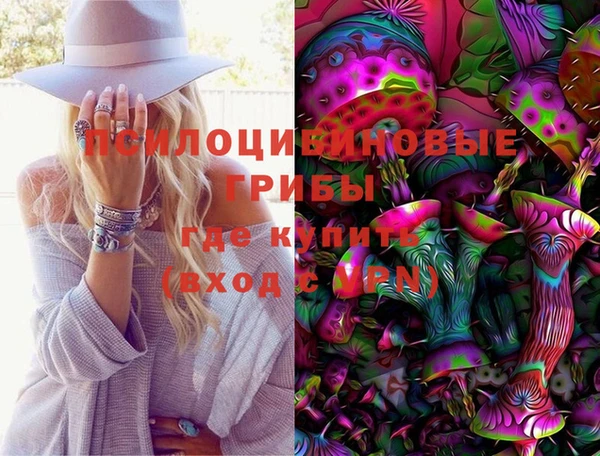 мдма Гусев