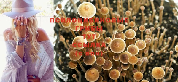 мдма Гусев