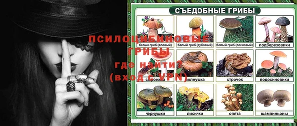 твердый Горно-Алтайск