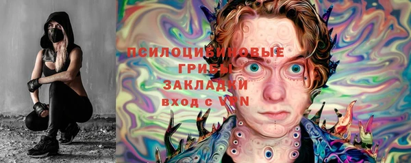 тгк Горнозаводск