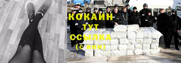 твердый Горно-Алтайск